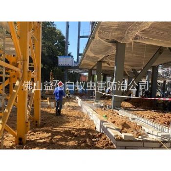 杨梅新建白蚁预防工程