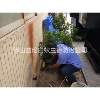 更楼投放灭鼠装置工程