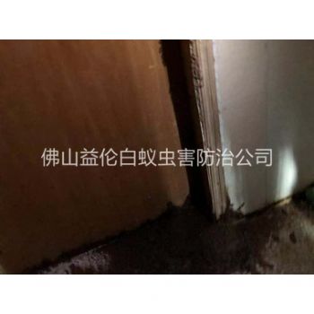 合水房屋防治白蚁工程