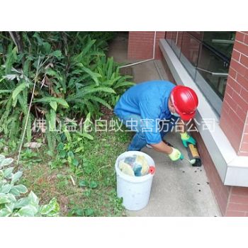 富湾施药灭鼠工程
